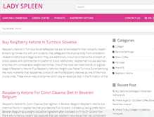 Tablet Screenshot of ladyspleen.com